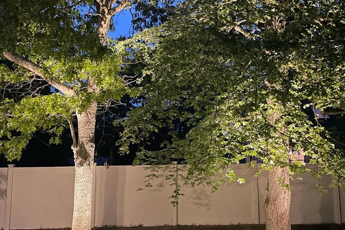 Landscape lighting detail