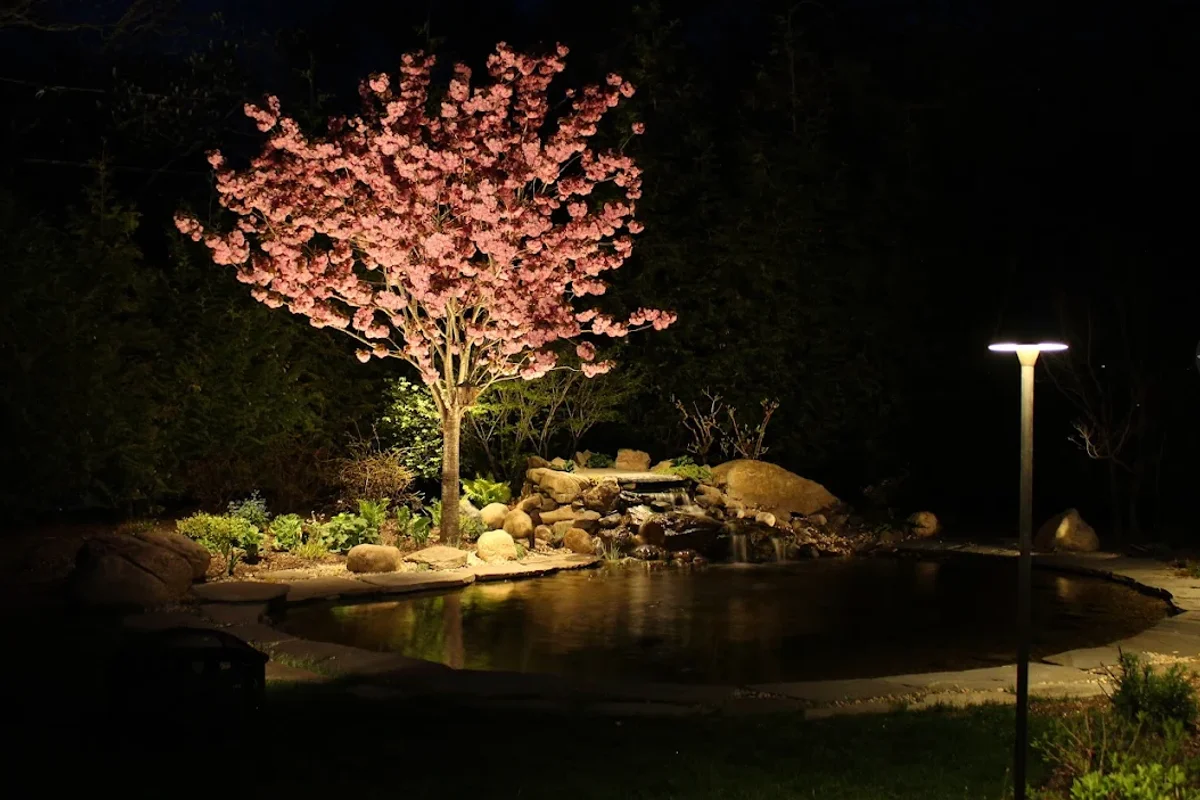 Night landscape lighting